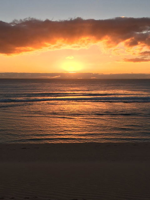 Aquatic Visions - Kawana Tourism 35