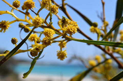 Eagle Bay House - Kawana Tourism 12