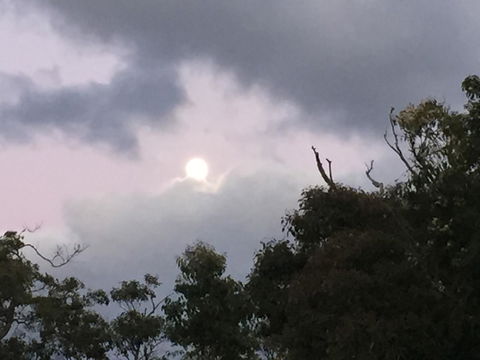 Eagle Bay House - Kawana Tourism 16