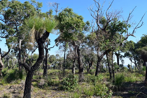 Eagle Bay House - Kawana Tourism 25