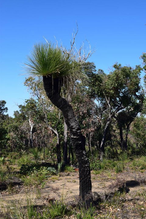 Eagle Bay House - Kawana Tourism 26