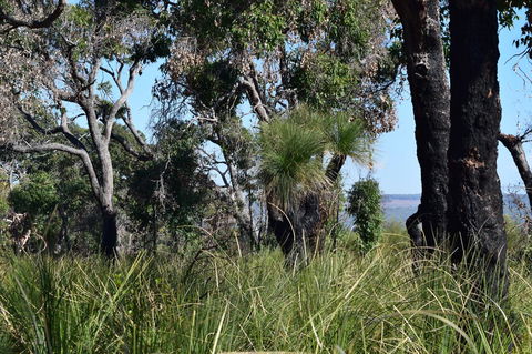 Eagle Bay House - Kawana Tourism 23