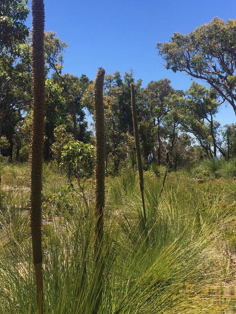 Eagle Bay House - Kawana Tourism 15