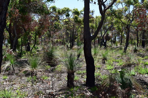 Eagle Bay House - Kawana Tourism 27