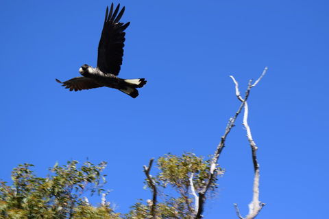 Eagle Bay House - Kawana Tourism 20