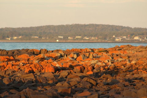 Tamar Solar Home - Kawana Tourism 16
