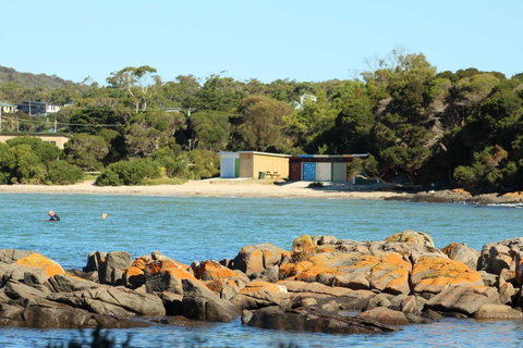 Tamar Solar Home - Kawana Tourism 25