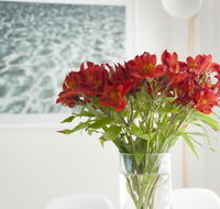 On The Beach Waterfront Apartment - Kawana Tourism