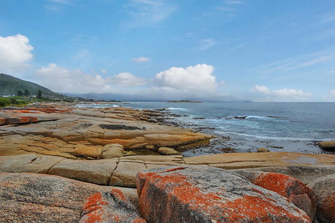 Harvey Farm Lodge - Kawana Tourism 2