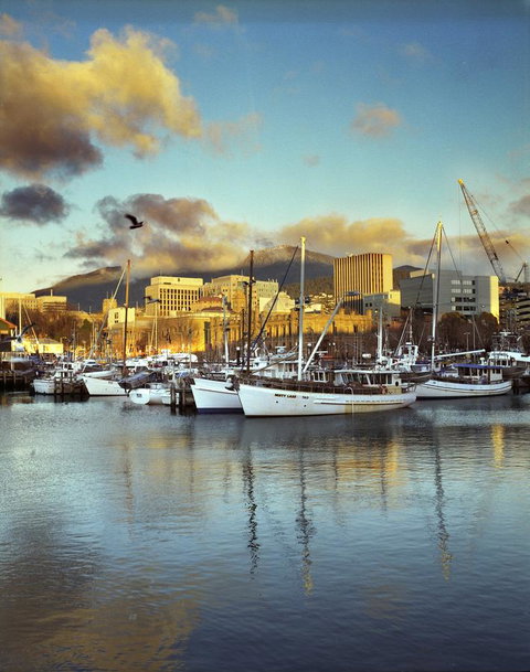 The Henry Jones Art Hotel - Kawana Tourism 2