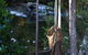 Tyenna River Cottages - thumb 5