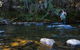 Tyenna River Cottages - thumb 2