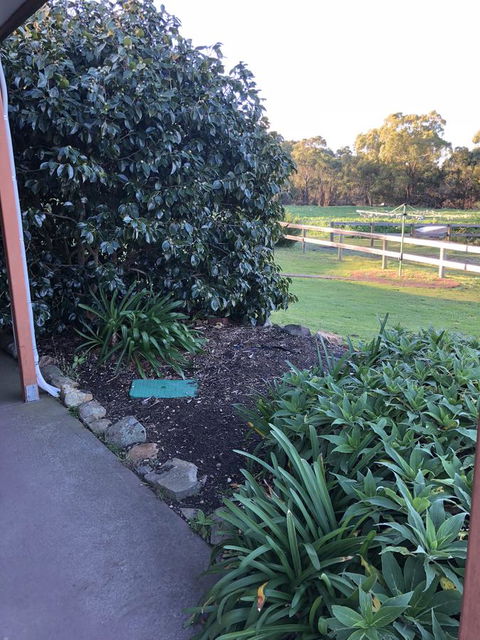 Acton Park Holiday Units - Kawana Tourism 20