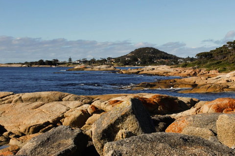 Mermaids Of Bicheno - Kawana Tourism 15