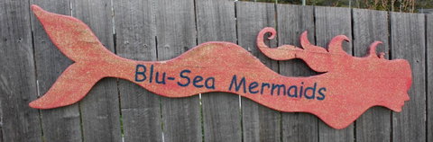 Mermaids Of Bicheno - Kawana Tourism 16