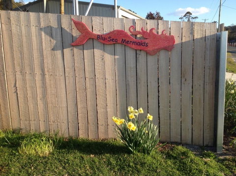 Mermaids Of Bicheno - Kawana Tourism 17