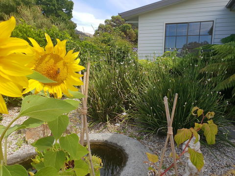 Garden By The Beach - Gateway To The East Coast, Close To Airport - Kawana Tourism 13