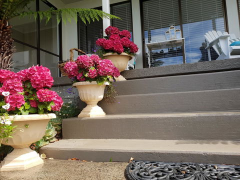 Garden By The Beach - Gateway To The East Coast, Close To Airport - Kawana Tourism 8