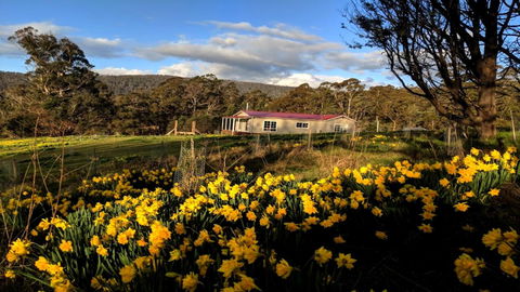 Mountain Blue Guest House - Kawana Tourism 3