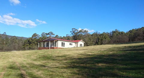 Mountain Blue Guest House - Kawana Tourism 26