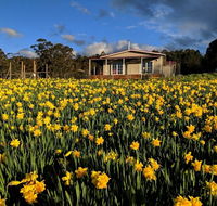 Mountain Blue Guest House - Kawana Tourism