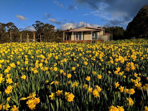 Mountain Blue Guest House - Kawana Tourism 0