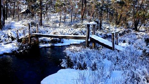 Cradle Mountain Love Shack - Kawana Tourism 10