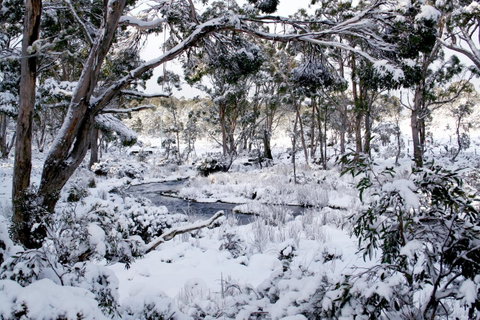 Cradle Mountain Love Shack - Kawana Tourism 11