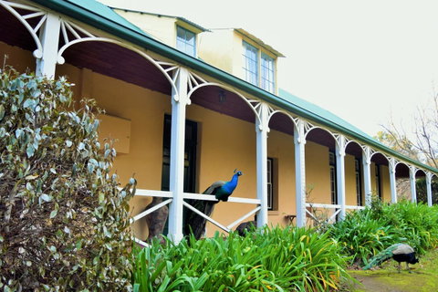 Cleburne Homestead - Kawana Tourism 29