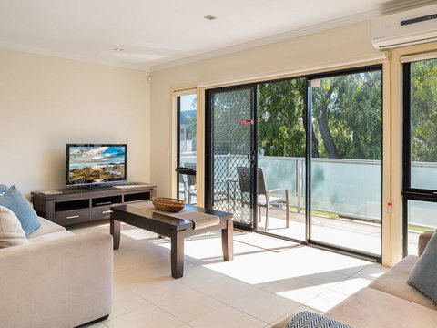 Penguins By The Beach - Kawana Tourism 0