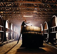 Pieter van Gent Winery  Vineyard - Kawana Tourism