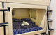 Pod Bed Coogee Beachside - thumb 3