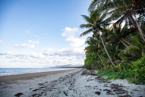 Port Douglas Mirage Villa #435 Absolute Beachfront - Kawana Tourism 1