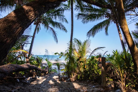 Port Douglas Mirage Villa #435 Absolute Beachfront - Kawana Tourism 2