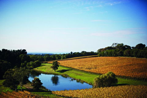 Port Phillip Estate - Kawana Tourism 2