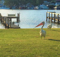 Riverfront Getaway - Mannum - Kawana Tourism