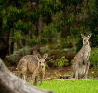 Secura Lifestyle Countryside Kalaru - Kawana Tourism