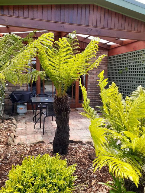 Sleepy Hollow Hideout (Hidout 2) - Kawana Tourism 1
