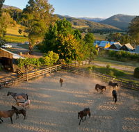 Spring Spur - Kawana Tourism