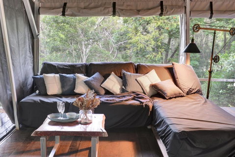 Starry Nights Luxury Camping - Kawana Tourism 1