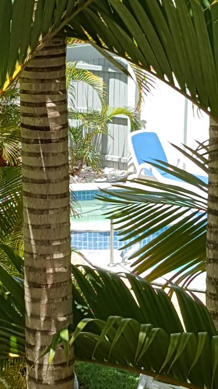 Studio Apartment Mooloolaba Beach Holiday Management - Kawana Tourism 0