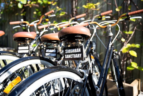 Suburban Sanctuary - Kawana Tourism 1