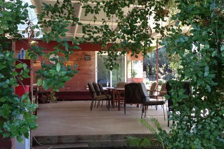 Sue's Sanctuary - Kawana Tourism 1
