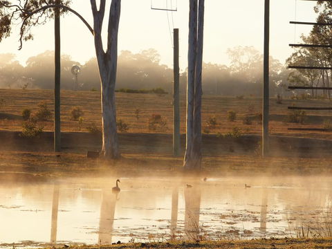 Susan River Homestead - Kawana Tourism 3