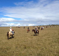 Susan River Homestead - Kawana Tourism