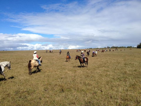 Susan River Homestead - Kawana Tourism 0