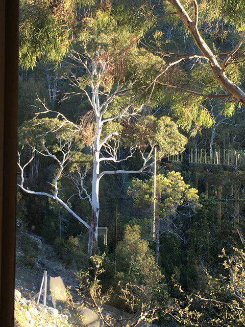 The Lookout - Kawana Tourism 22