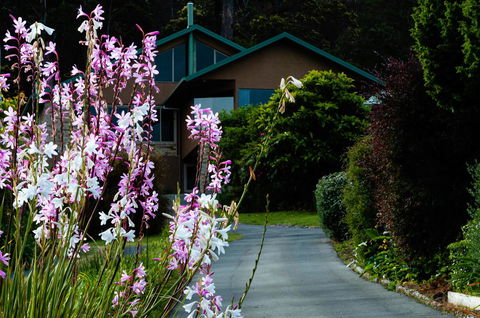 Maria Views Bed & Breakfast - Kawana Tourism 6