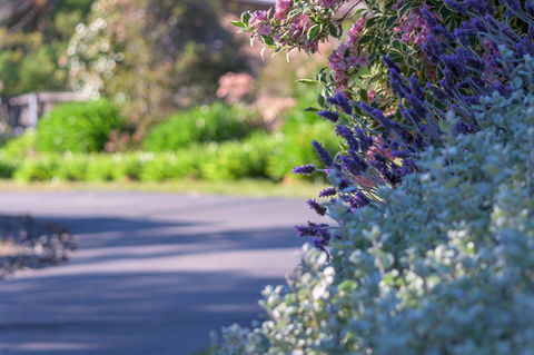 Maria Views Bed & Breakfast - Kawana Tourism 3