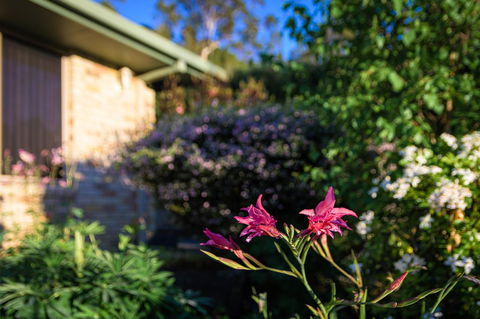 Maria Views Bed & Breakfast - Kawana Tourism 4